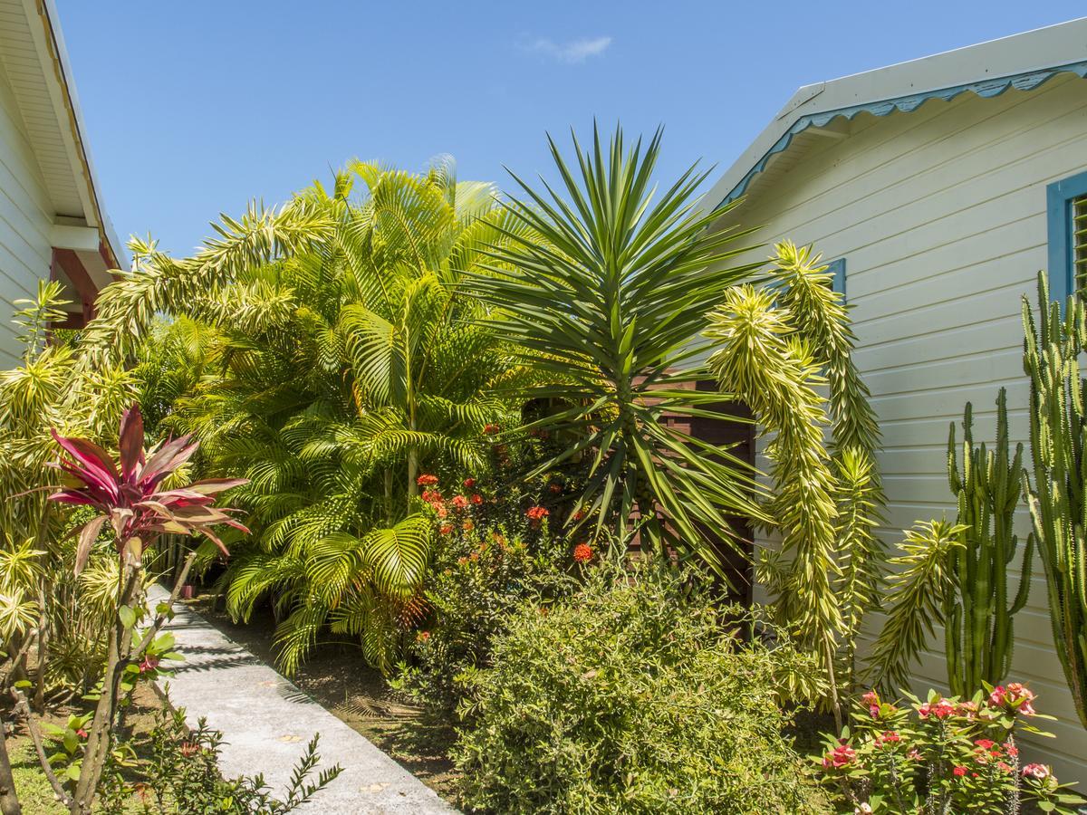 Coco Bungalows Sainte-Rose Exteriér fotografie