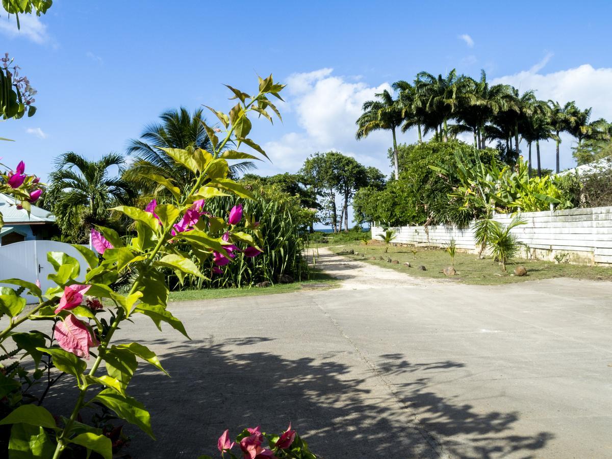 Coco Bungalows Sainte-Rose Exteriér fotografie