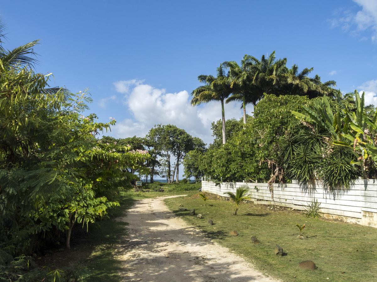 Coco Bungalows Sainte-Rose Exteriér fotografie