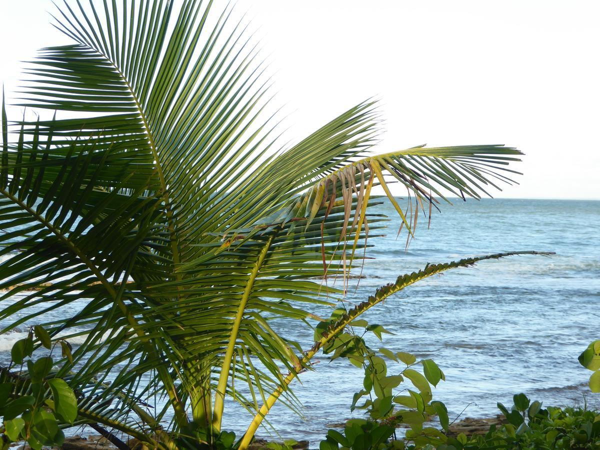 Coco Bungalows Sainte-Rose Exteriér fotografie